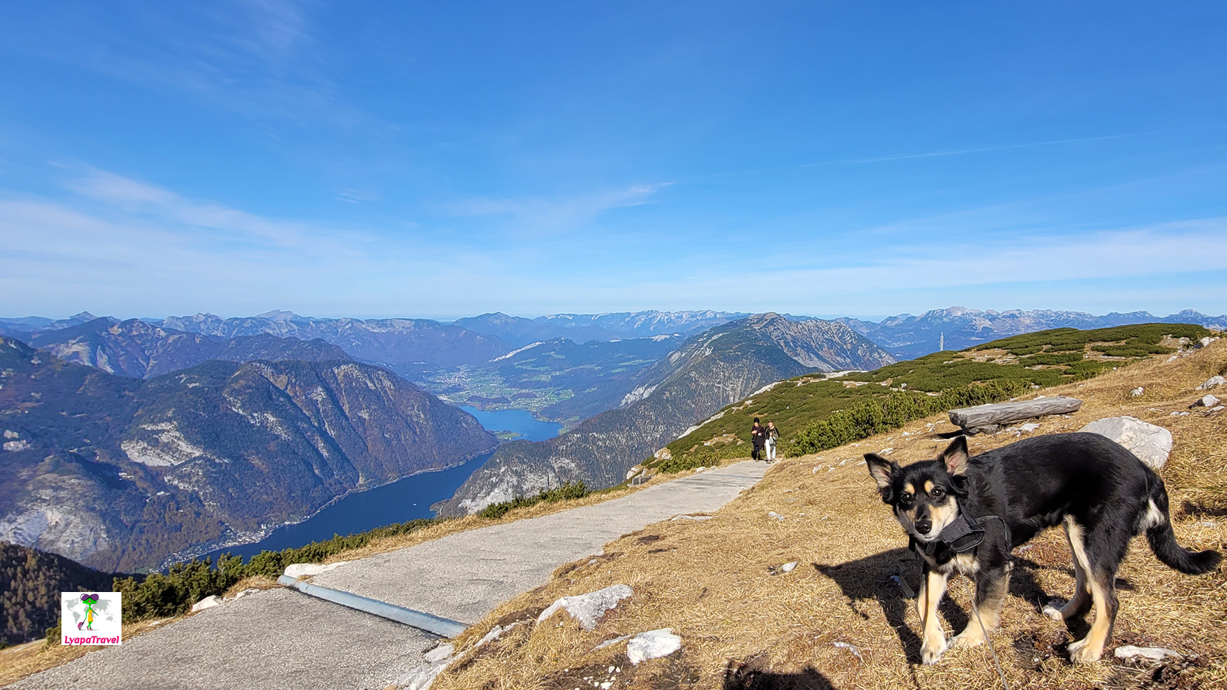 Собака путешественница Юна | Блог путешественника LyapaTravel